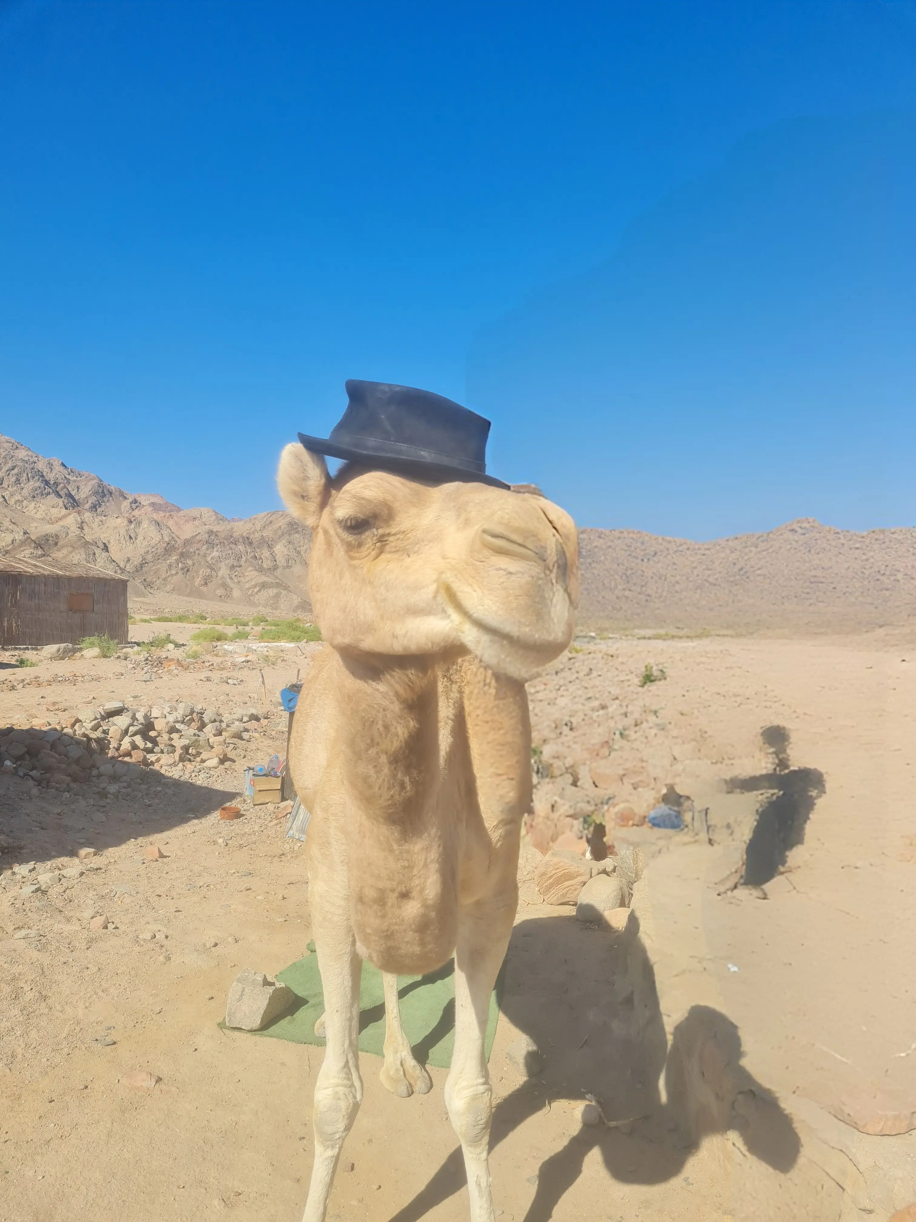 Nuweiba coast